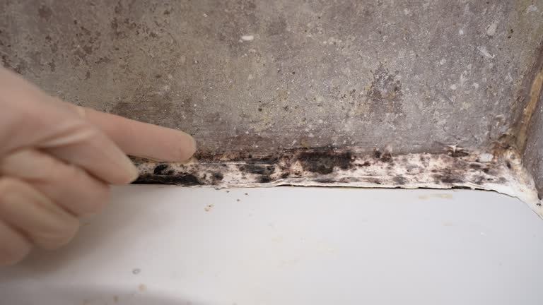 Asbestos and Lead Testing During Mold Inspection in Springfield, TN